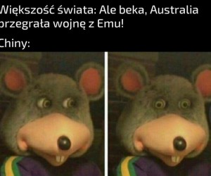 Zginęło kilkadziesiąt milionów ludzi i zniszczyli ekosystem