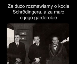 Zgadnij, który to