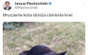 Pilne