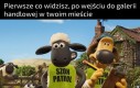 Tak w skrócie