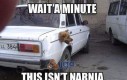 Chwileczkę... to nie Narnia!