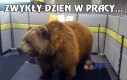 Zwykły dzień w pracy...