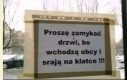 Po co tak kłamać