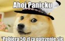 Nie ma to jak klimat gór