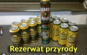 Rezerwat przyrody