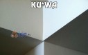 Ku*wa