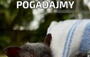 Pogadajmy