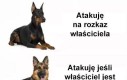 Ranking pupili