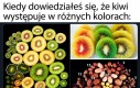 Że co?!