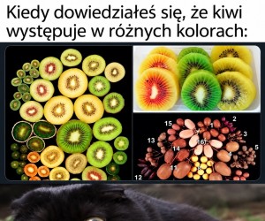 Że co?!