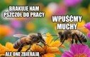 Oj nieładnie