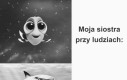 Kto ma siostrę ten wie