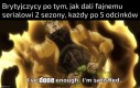 Czasami też z odcinkiem świątecznym
