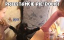 Przestańcie pie*dolić!