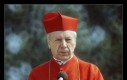 Stefanajec