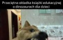 To właśnie dlatego dzieci uważają je za takie cool