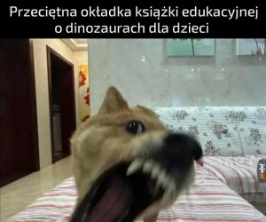 To właśnie dlatego dzieci uważają je za takie cool