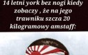 Bojowniczy