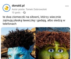 Totalnie