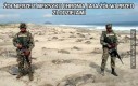 Żołnierze z Meksyku chronią jaja żółwi przed złodziejami