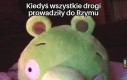 Czy to ta cała elitarna wiedza piłki?