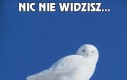 Nic nie widzisz...