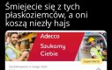 Partia konfederacja szuka posłów