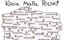 Kocia mapa Polski