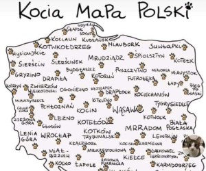Kocia mapa Polski