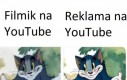 Widać różnicę