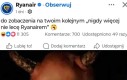 Nie czają się