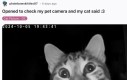 :3