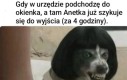 Wrrr precz