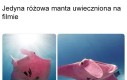 Ładny
