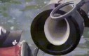 Fish cannon