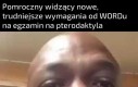 No nie zda teraz