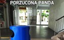 Porzucona panda