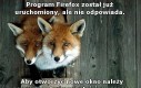 Program Firefox został już uruchomiony