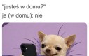 Nie słyszałem domofonu (słyszałem)