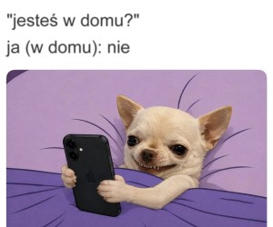 Nie słyszałem domofonu (słyszałem)