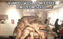 Kumpel wysłał mi fotkę z Muzeum Seksu