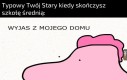 Praca albo Studia i bez dyskusji
