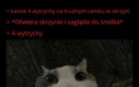 Na coś się przydadzą... Chyba