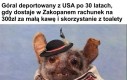 Co jest