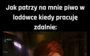 Paliwo