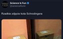 Czegoś takiego nie widzi się co dzień