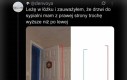 Mogą też głosować
