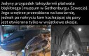 Po naszej śmierci robaki też będą się w nas kochać