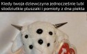 W sumie sam chciałbym takiego