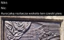Czeski pieseł z mostu.